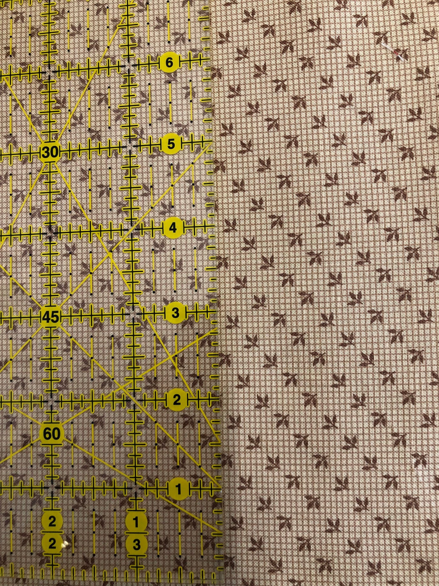 Jo Morton fabric, tiny brown sprigs on pale cream check, beside a ruler in inches