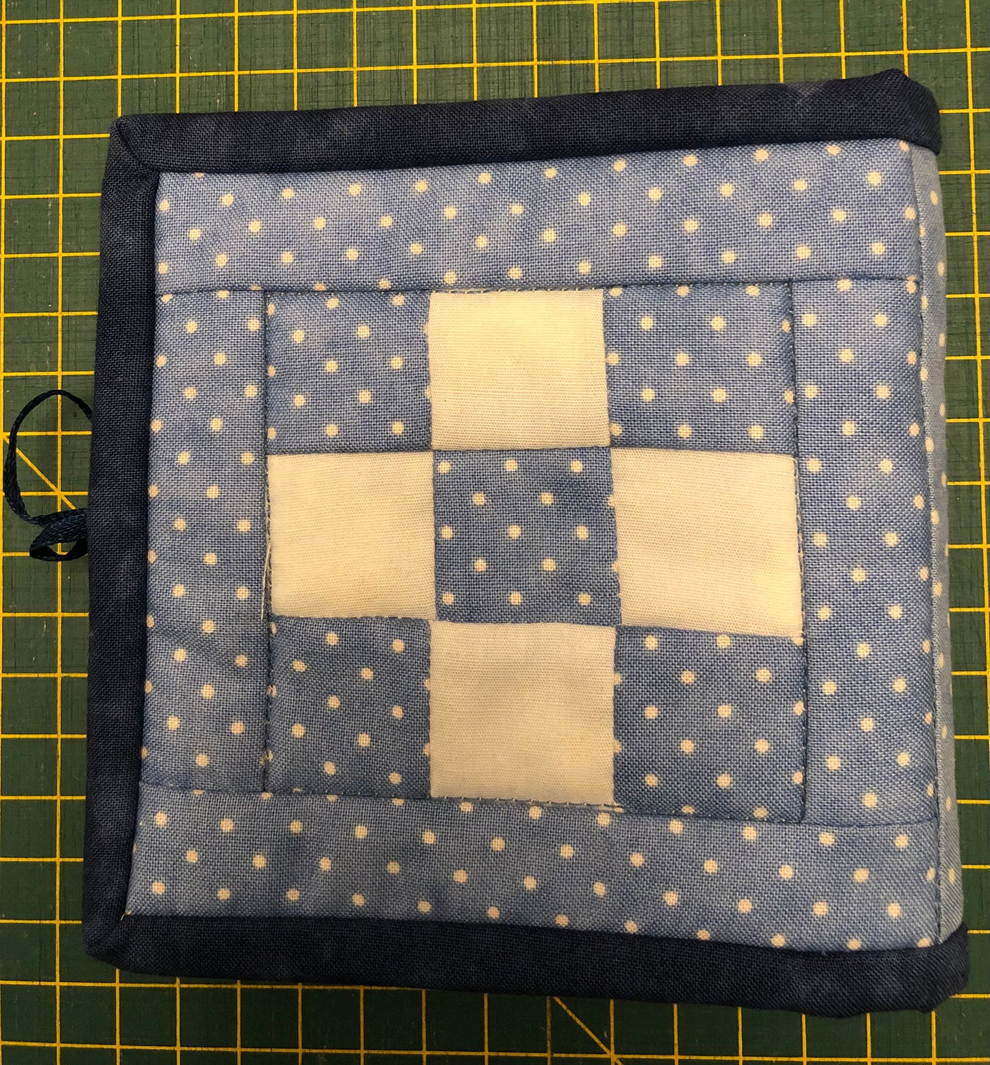 Bluebird Needlecase Kit