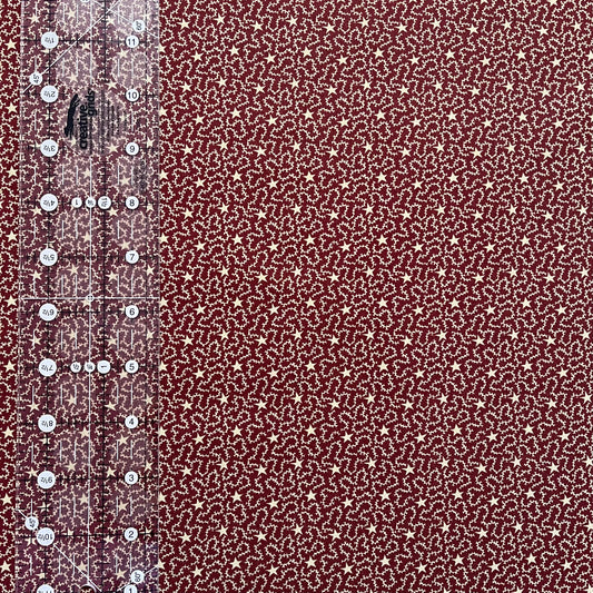 Kansas Troubles Fabric - Freedom Road - Stars