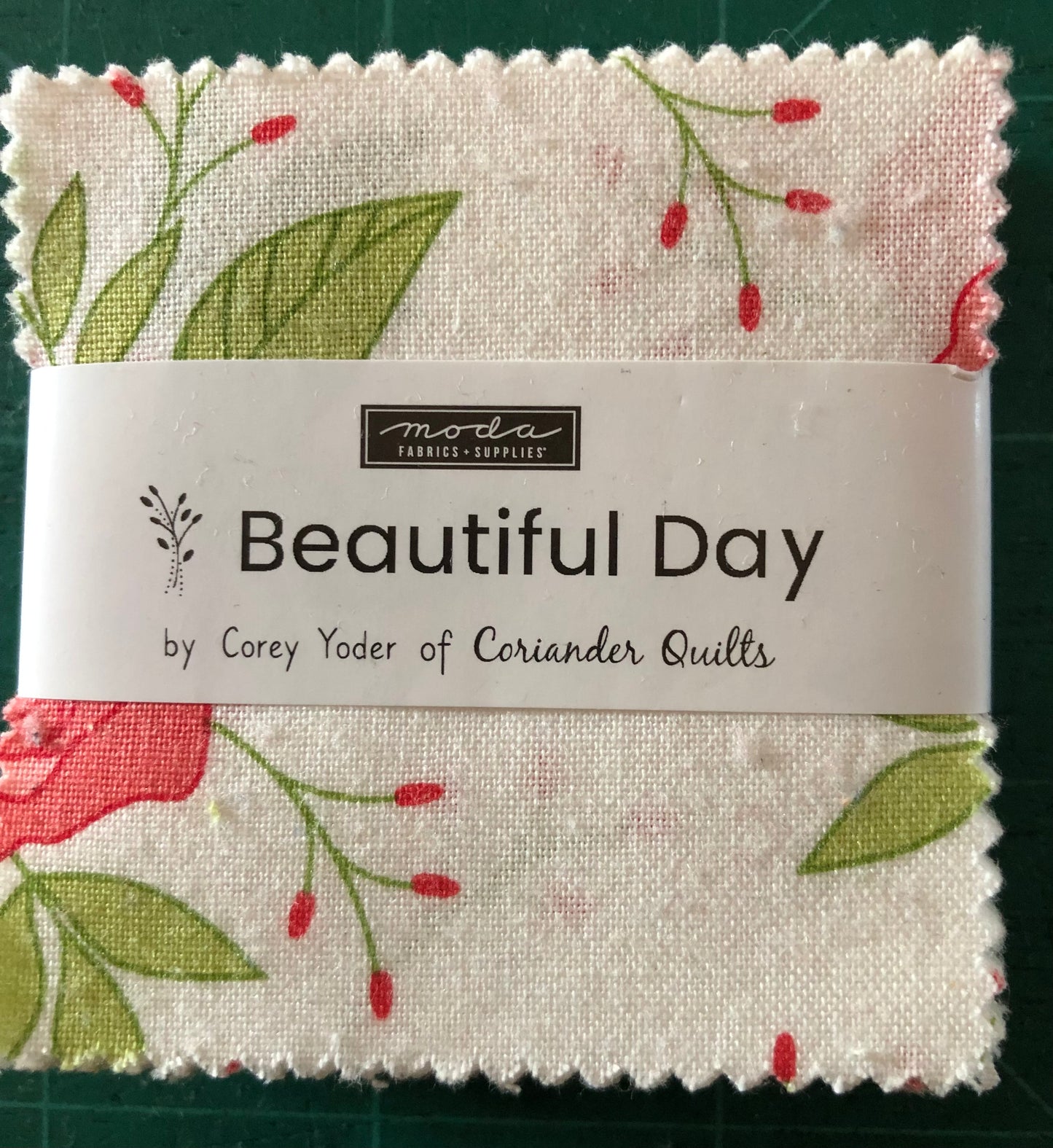 MODA Mini Charm Packs