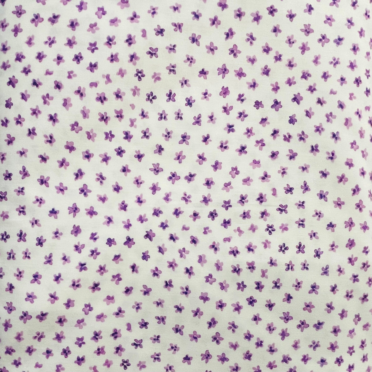 How Many Sues? - Block of the Month